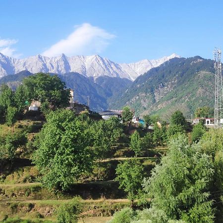 Bed and Breakfast Mcleodganj Diaries Дармсала Экстерьер фото